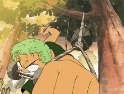 Zoro